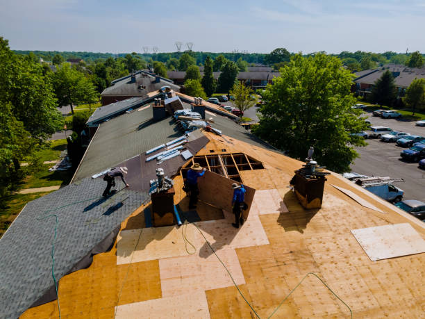Quick and Trustworthy Emergency Roof Repair Services in Portola, CA